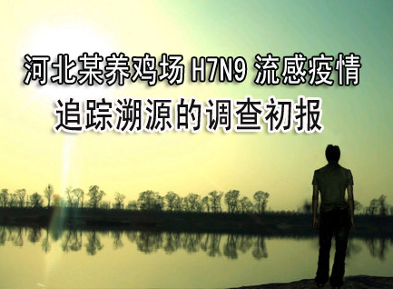 河北养鸡场H7N9流感疫情追踪溯源的调查初报