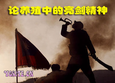 赵德峰：论养殖中的亮剑精神