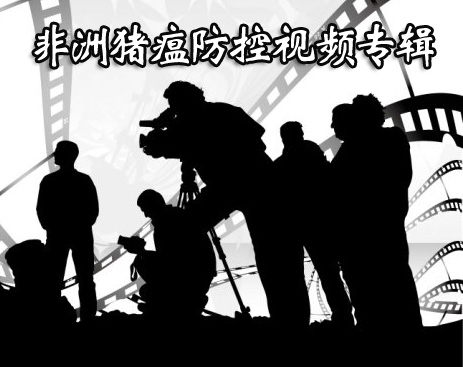 非洲猪瘟防控视频专辑